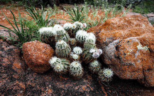 �1758553 �������(a): ����������:2560x1600